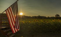 Chinese nationals charged after smuggling potential 'agroterrorism weapon' into US