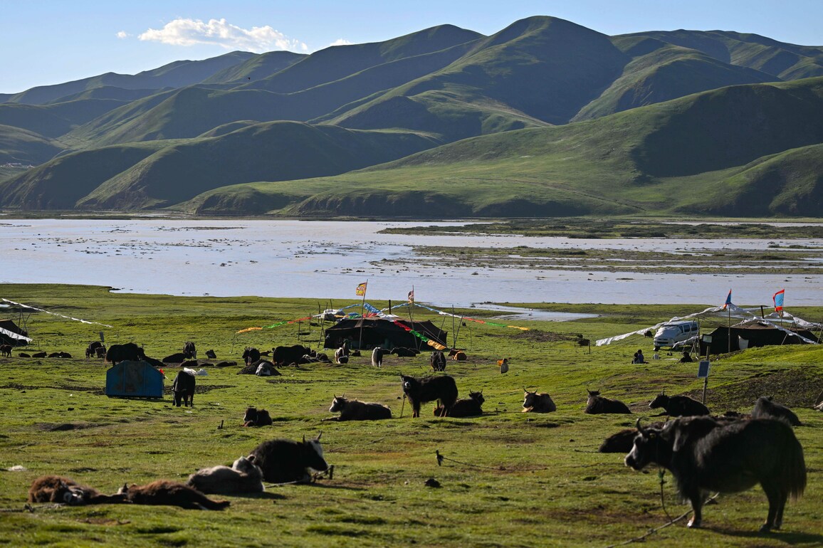 Investigation unveils fungal diversity in China's Qinghai