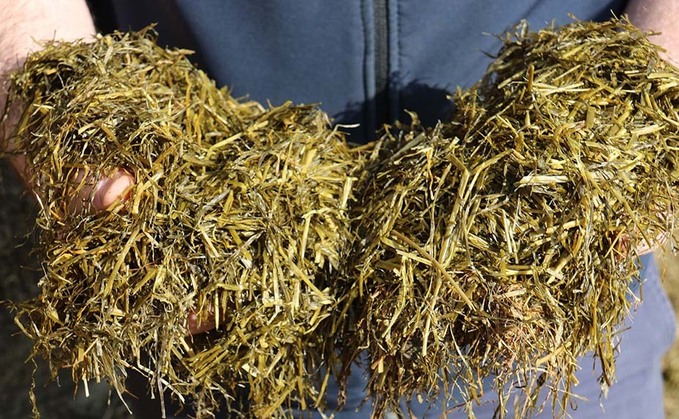 ļֱ urged to test silage following a challenging season