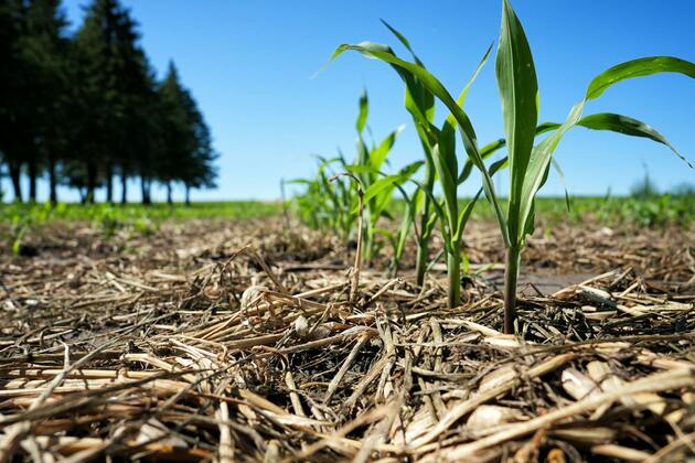 Brown- Mental illness threatens the harvest in rural Minnesota, but hope grows