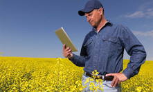 Cereals down, lentils and canola on the rise