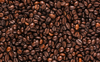 Coffee industry coalition launched to map deforestation across all growing regions