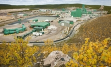 Uranium stocks surge on Cameco news