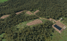 A schematic of the proposed decline and surface facilities