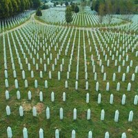Genocide's legal limitations: what the Srebrenica massacre can teach us about Gaza