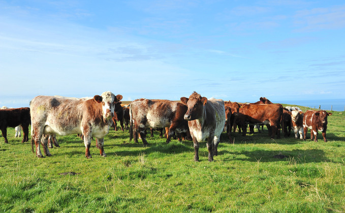 Average farm income for Scottish businesses has increased 30% to £58,800, according to the latest Scottish Government data