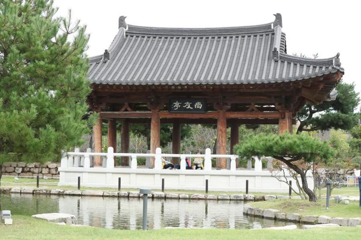 Yearender: How China-S. Korea ties stabilized in 2025
