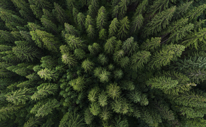 Credit: iStock