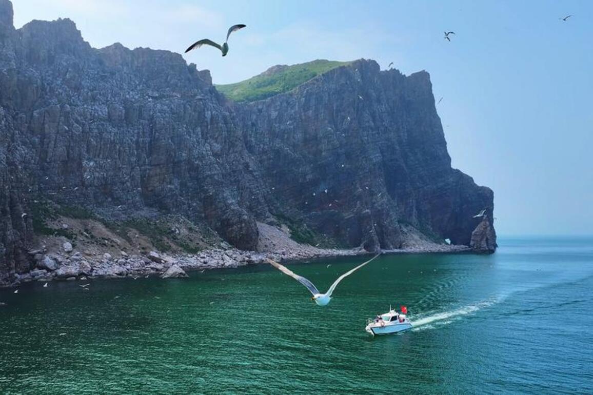 Local efforts, technology protect critical bird migration haven in east China