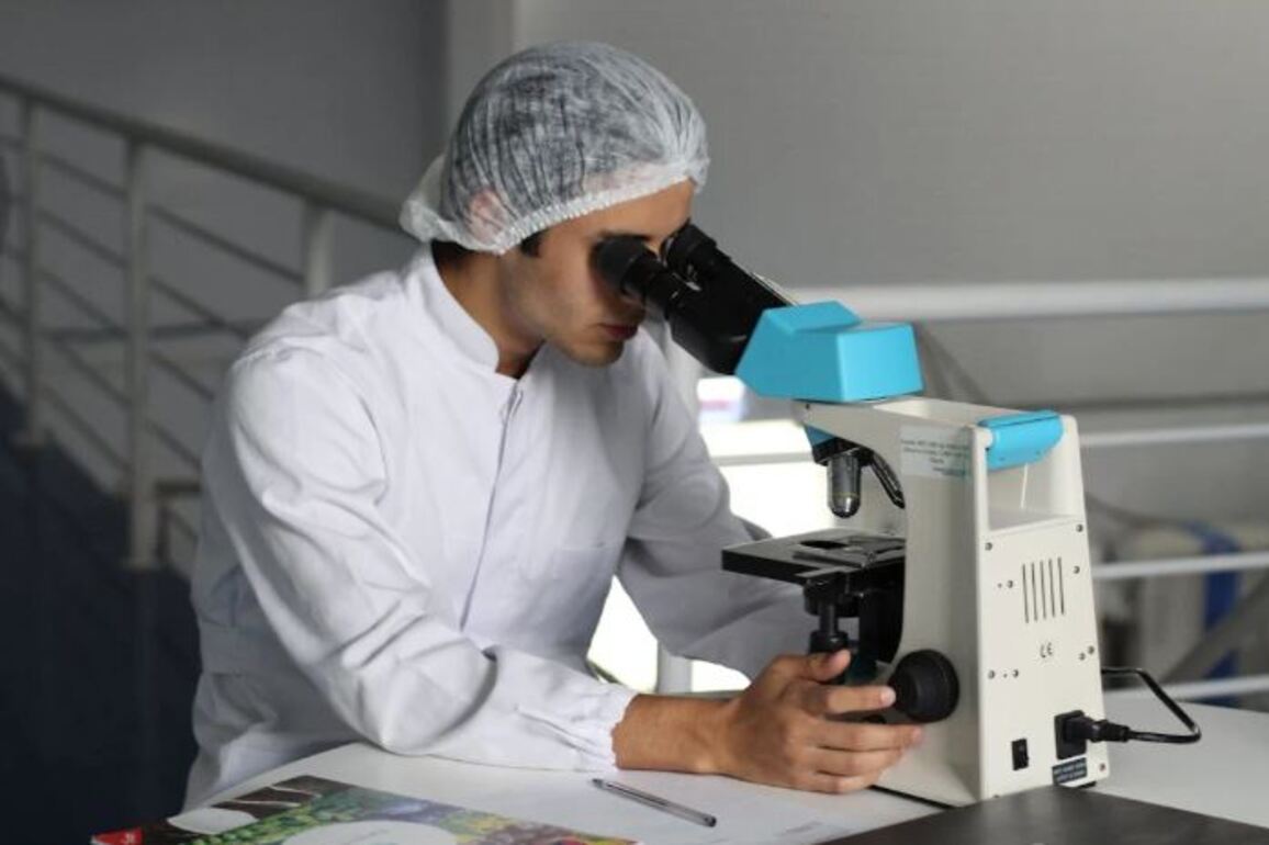 Scientists uncover cellular "toolkit" to reprogram immune cells for cancer therapy: Study