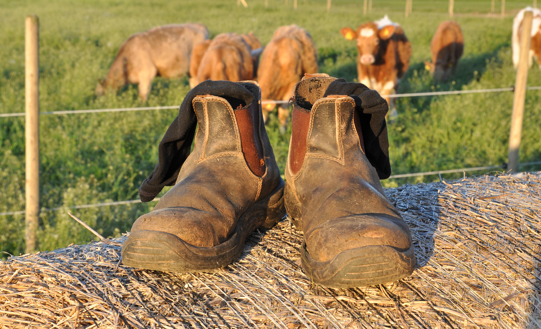 WorkSafe Victoria reminds farmers to stay safe this harvest with confronting campaign - “It's never you, until it is”. Credit: Anki Hoglund, Shutterstock. 