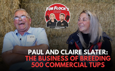 Paul and Claire Slater: The Business of Breeding 500 Commercial Tups | For Flock's Sake Ep.5