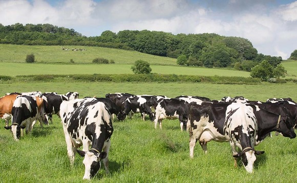 Milk from forage and good health boosts dairy herds in 2020