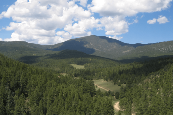 Premier American Uranium to acquire Nuclear Fuels