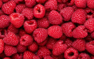 'Vintage year for raspberries' as fruit measures 50% sweeter than usual