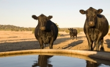 Farmers relieved with native title funding reinstatement