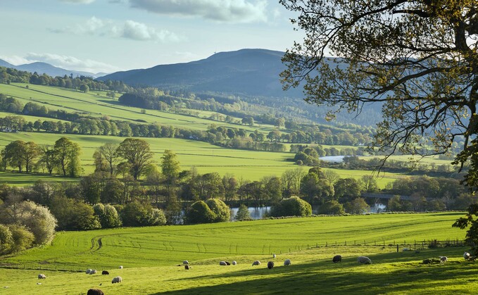 "It is clear that there has been a lot of change in rural Britain, historically the stomping ground of the Conservatives. Who will be championing the British countryside going forward?"