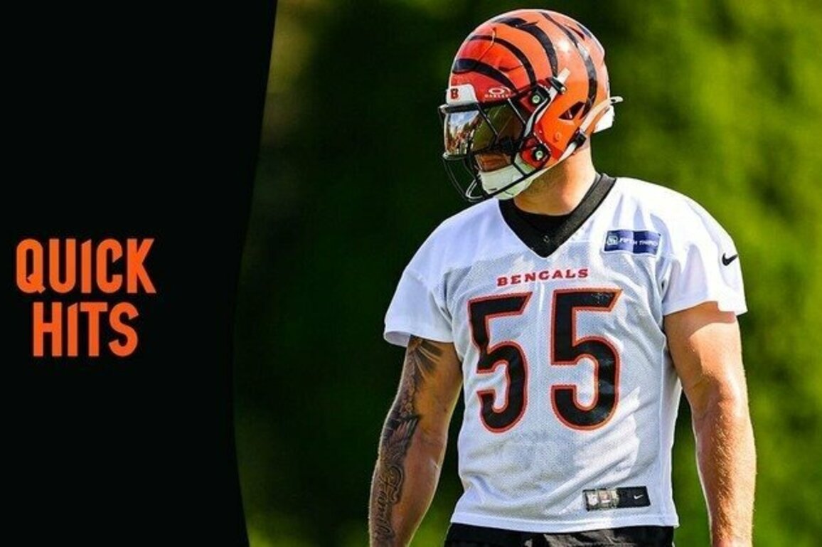 Quick Hits | Bengals Seek To Ground High-Flying Lions
