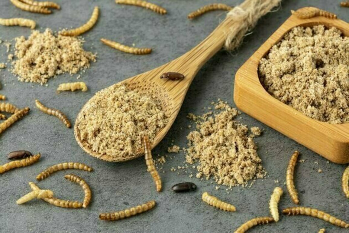 'I will not eat the bugs': examining a right-wing narrative about scarcity and insect consumption
