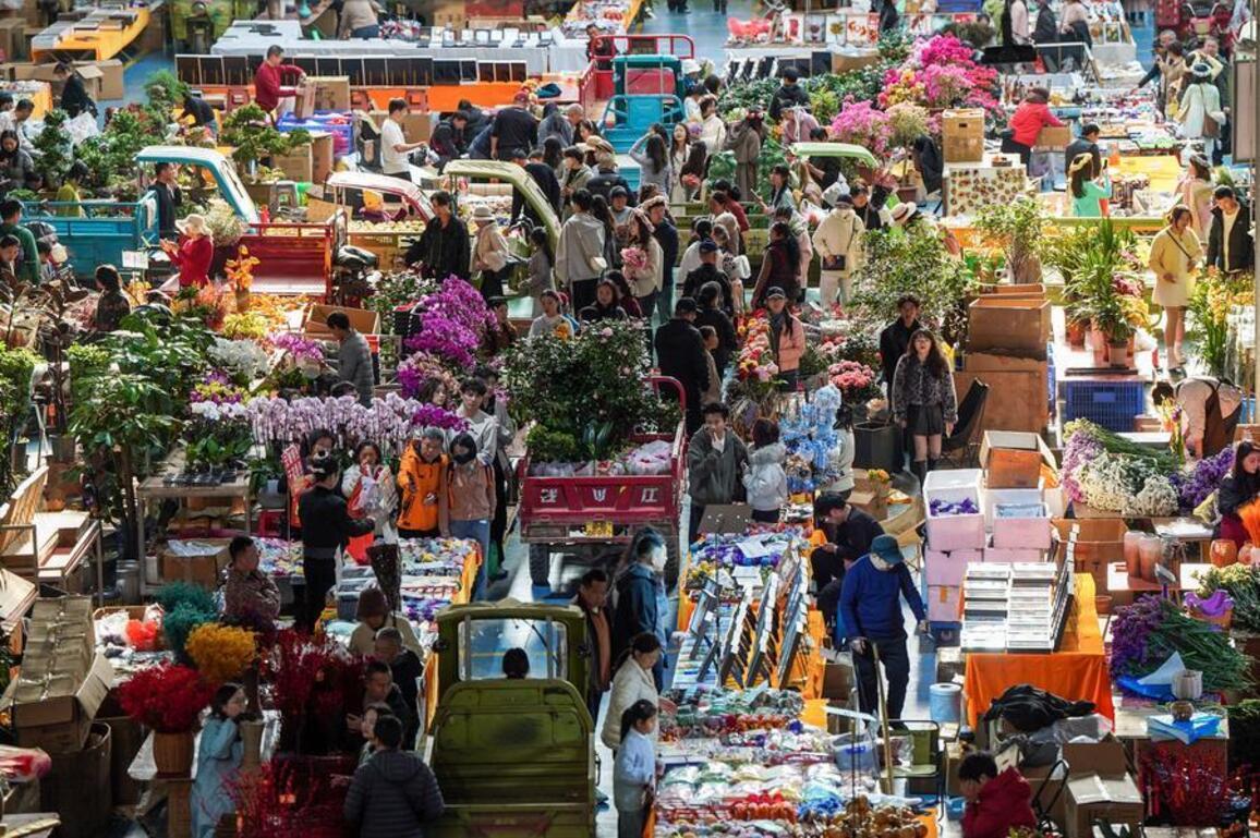 China's pro-consumption policies to boost Spring Festival spending