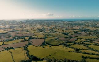 Dorset Council generates over £6 million in sales from Council Farms Estate portfolio