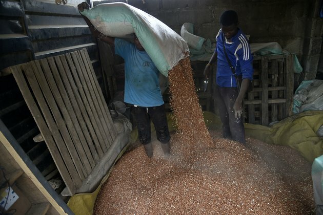 Beans are a favourite food in Nigeria - 4 safe ways to preserve them