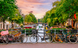 Amsterdam becomes first capital city to ban fossil fuel and meat advertising in public spaces