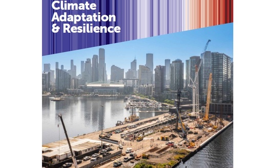 EFFC/DFI Sustainability Guide No.3: Climate Adaptation & Resilience