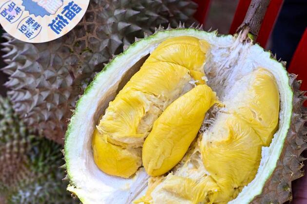 China's durian appetite cultivates new growth for Southeast Asian orchards