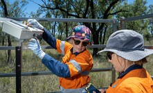 Bravus developed a targeted Management Plan to protect local Black-throated Finches and their habitat. 