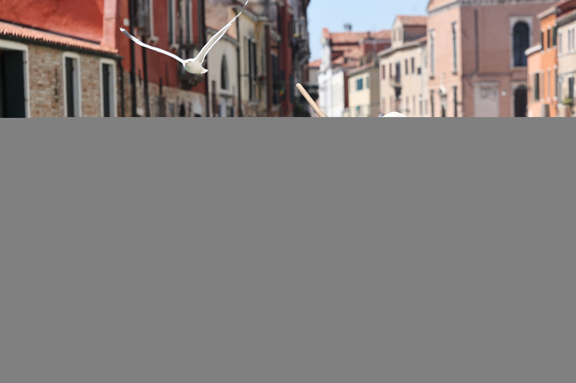 ITALY-VENICE-REGATA STORICA-FEMALE ROWERS
