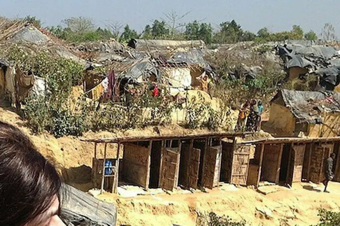 Strategic Steps Needed for the Rohingya Repatriation Now