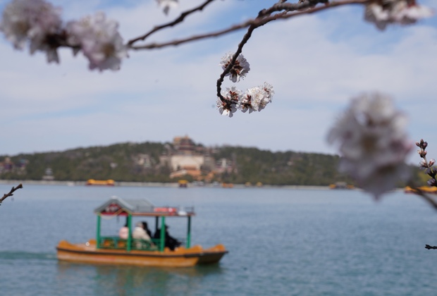 (EcoChina)CHINA-BEIJING-SPRING-BLOSSOMS(CN)