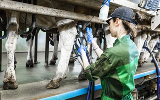 UK Dairy Day: Opening up dairy farm labour talent pools