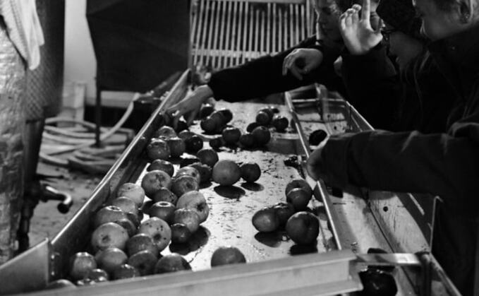 Hartpury students making cider