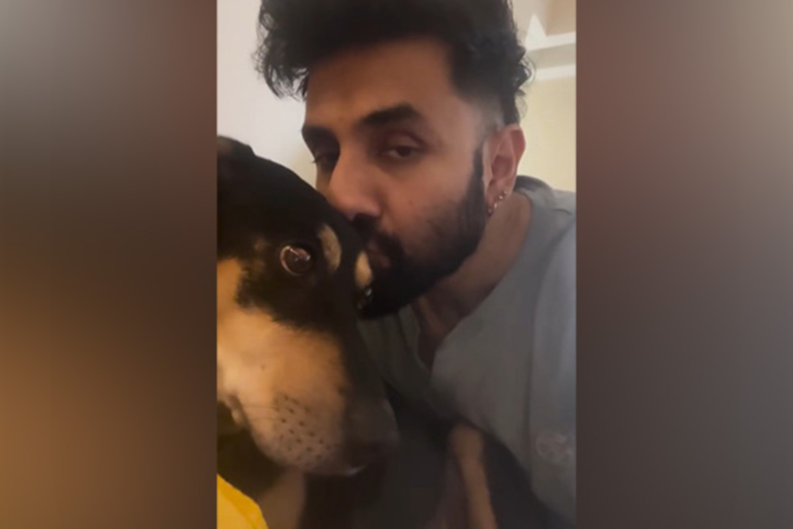 "A safe return of our community dogs": Vir Das welcomes SC's modified order on stray dogs