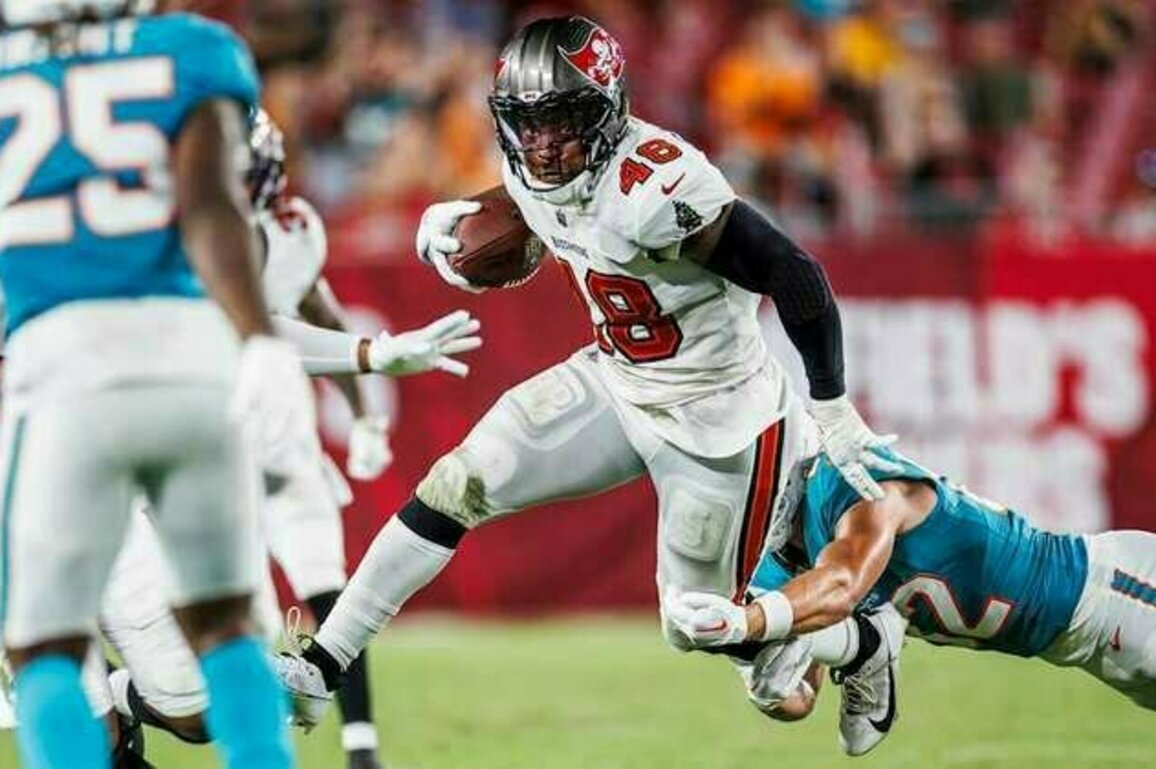 2025 Opponent Preview: Miami Dolphins, Week 17
