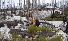 James Bay is a rich hunting ground for lithium hopefuls