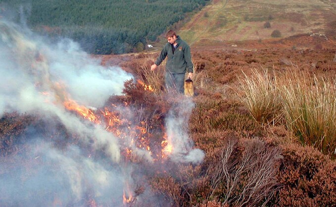 Shadow Farming Minister Robbie Moore said: "Farmers, land managers, gamekeepers, our firefighters, and others all know that proactive, controlled burning is key to reducing the size and risk of natural wildfires. It illustrates a deep disregard and total naivety associated with improving the health of our precious peatlands and moorland habitats."