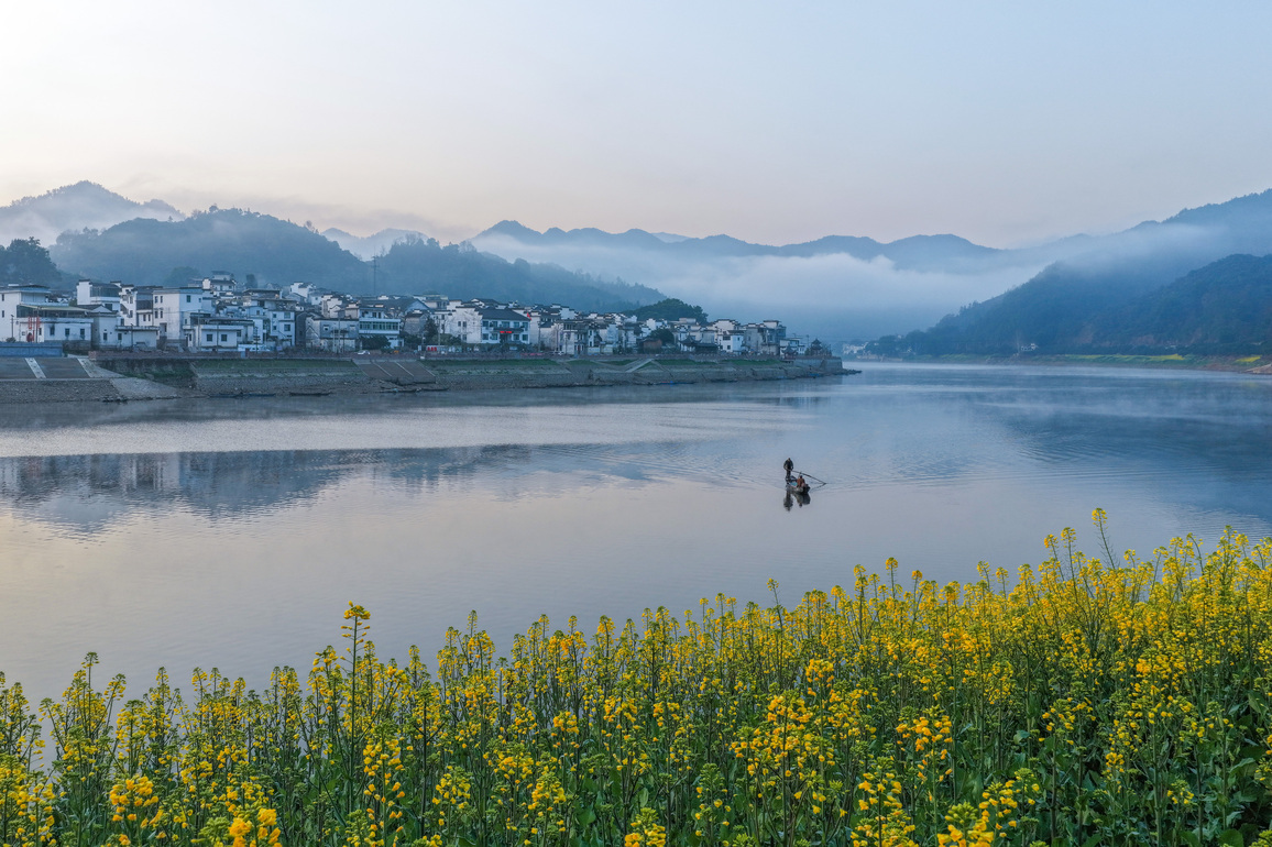 (AmazingAnhui) CHINA-ANHUI-SHEXIAN-XIN'AN RIVER-RAPESEED FLOWERS-SCENERY (CN)