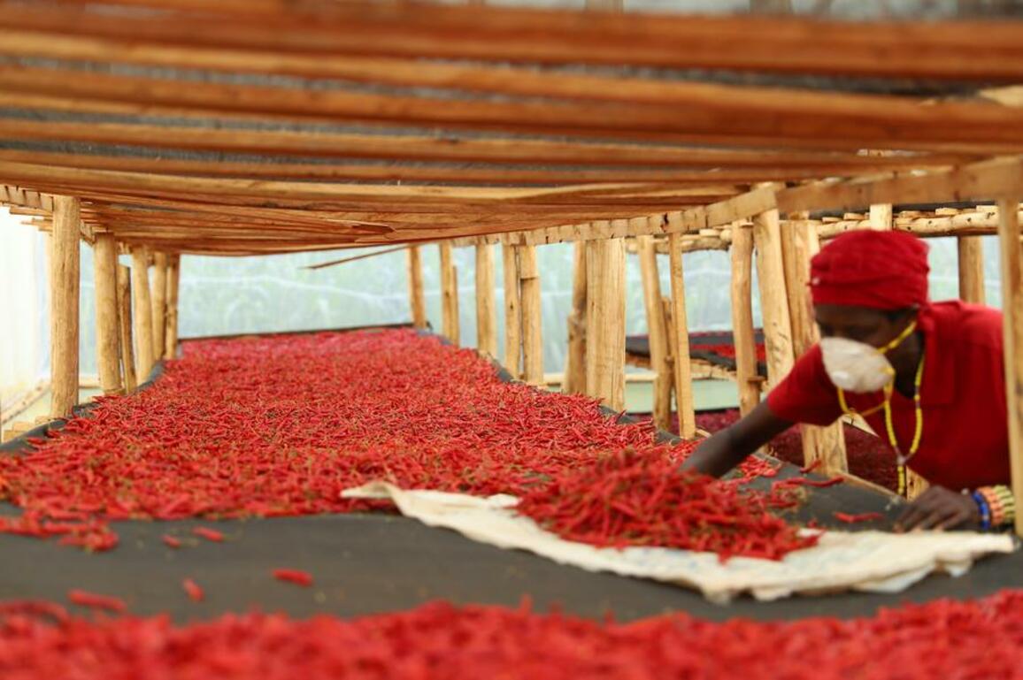 Growing Chinese market offers greater stability, opportunity to world economy