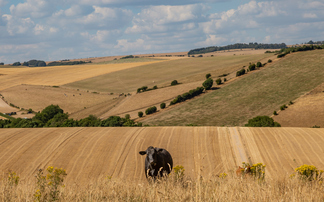 Government offers £65m support to farmers 'at the sharp end of climate change'