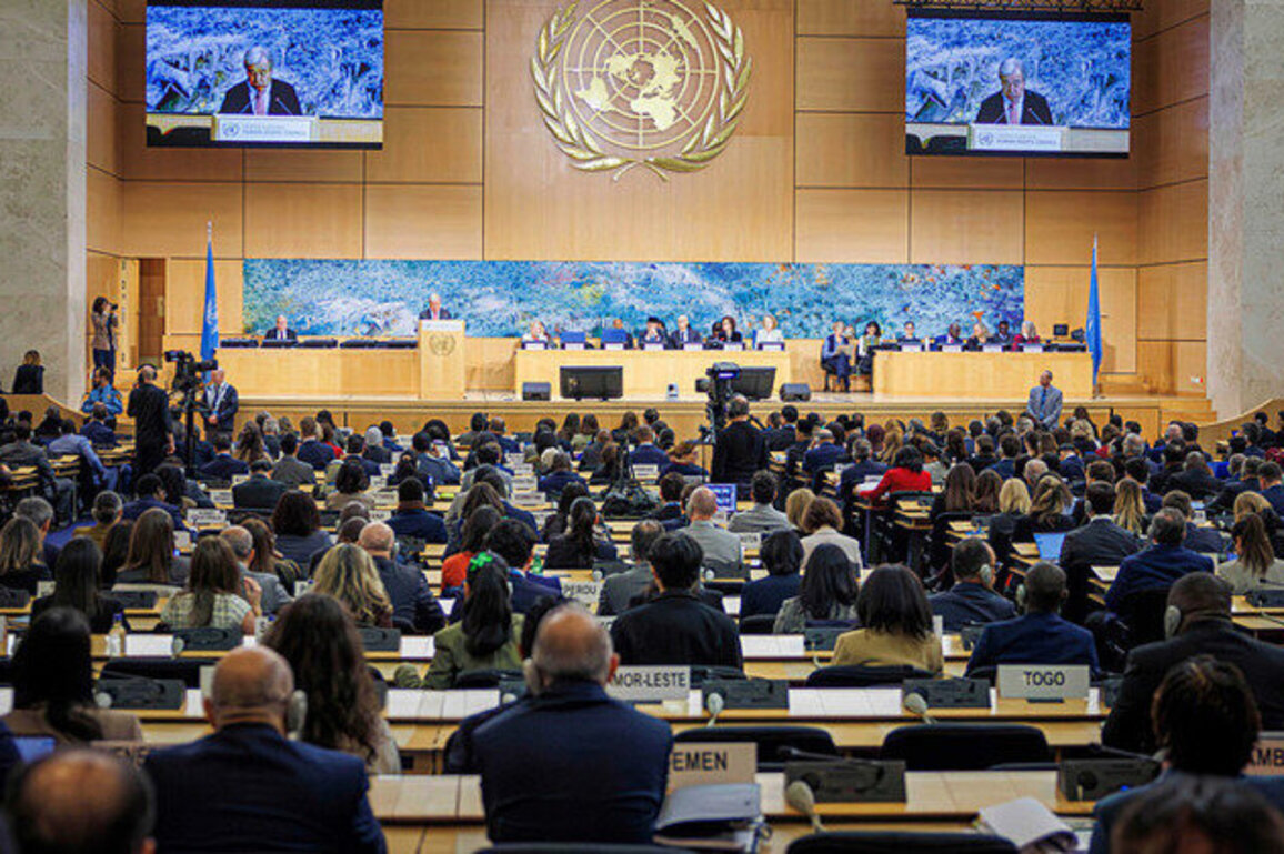 Chinese NGOs highlight human rights achievements at UN council session