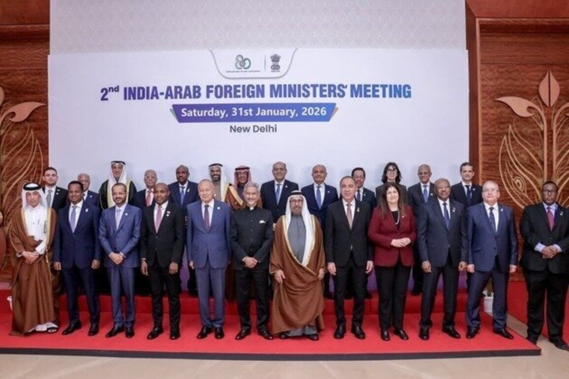 Al Marar chairs Arab Side at Arab-India Foreign Ministers' Meeting