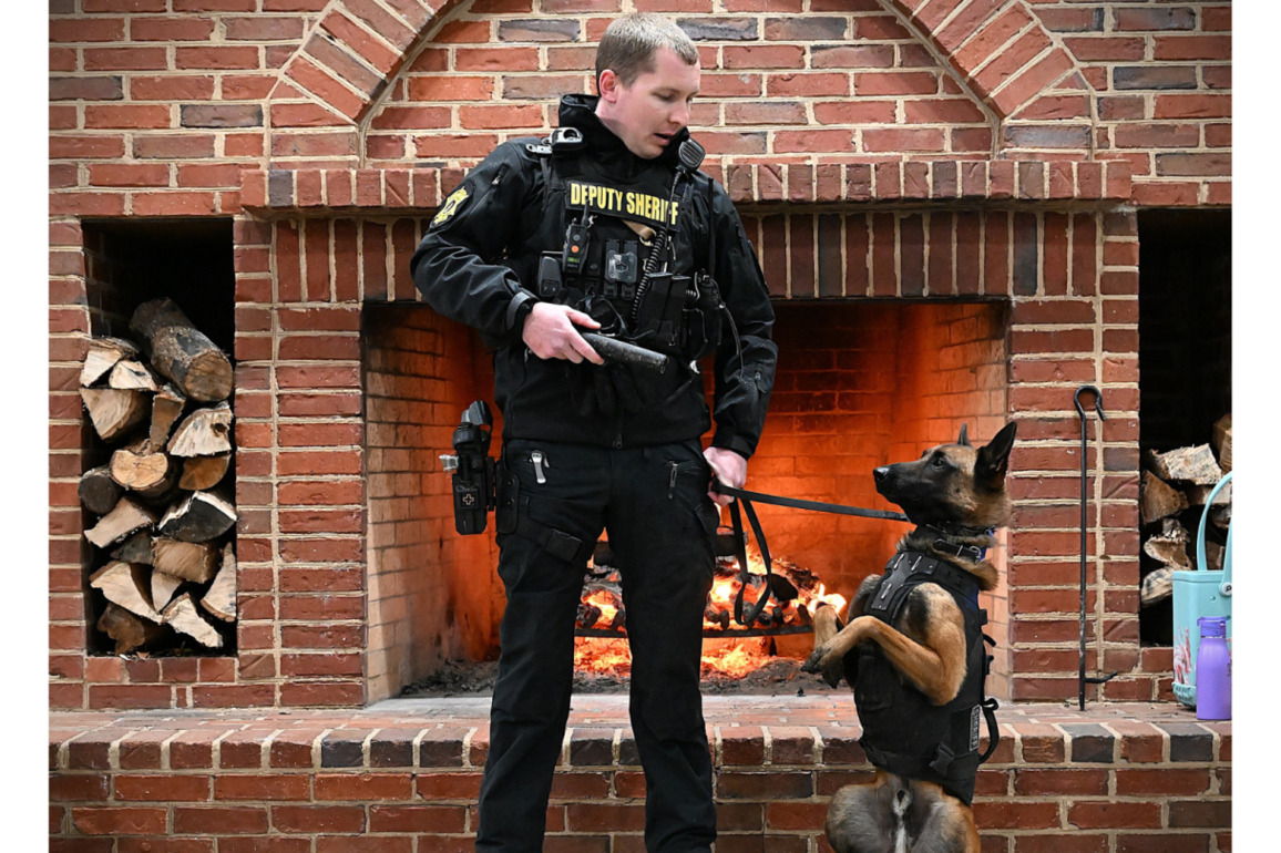 Video- S.C. sheriff's department K-9 wounded during shootout with vehicle break-in suspect