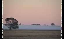  A national survey is being conducted to look into farmer mental health and wellbeing. Picture Mark Saunders.