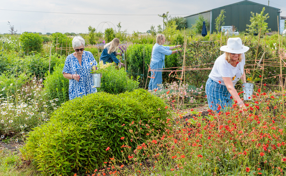 Flowers ensure sustainable future for family farm in Kent