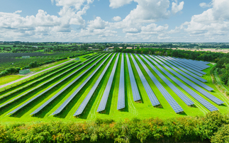 Sustainable Profit: Farming for the long-term