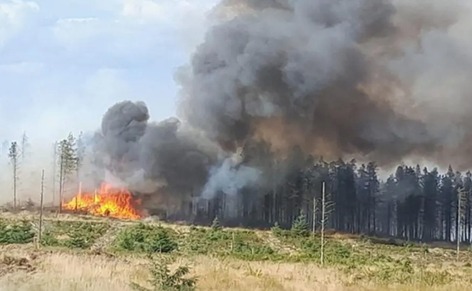 More than 5,000 acres of land was destroyed in last year's wildfires