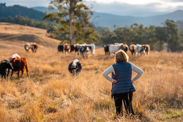 Rural health experts say the Federal Budget lacked targeted measures to address healthcare challenges in regional communities. 
